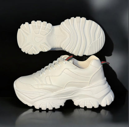 TENIS GCI